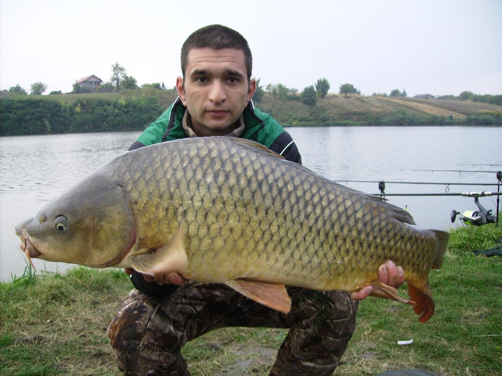 Moara Vlasiei 2  - 15kg-3.jpg